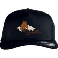 Curved Classic Snapback